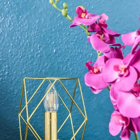 Le Petit Vauban * Strasbourg