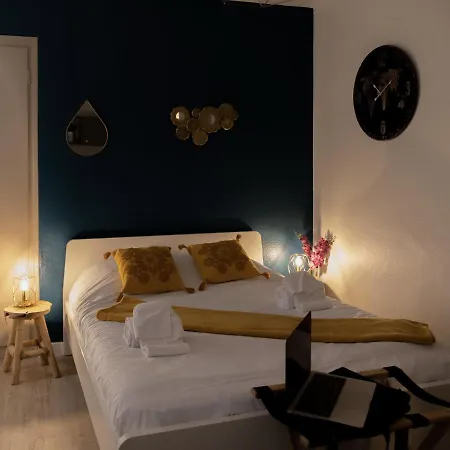 Le Petit Vauban Appartement Strasbourg